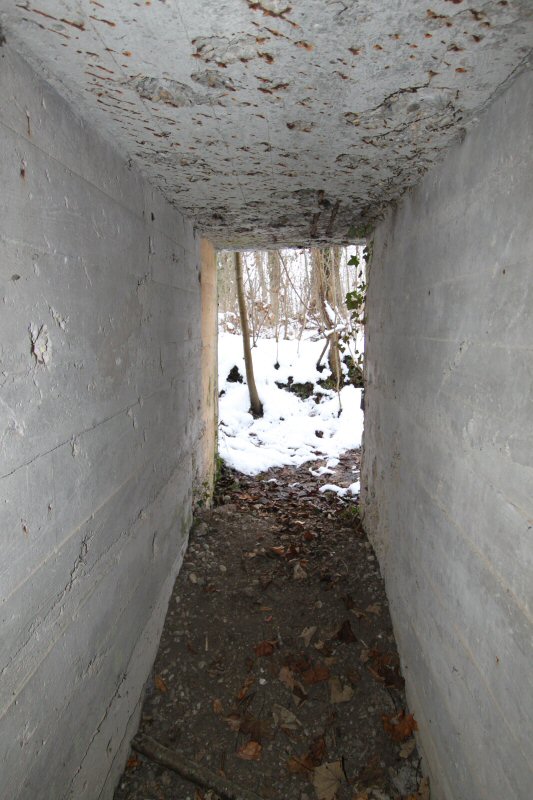 Ligne Maginot - HERRENFELD (II/34°RIF ) - (PC de Quartier) - Abri 2
