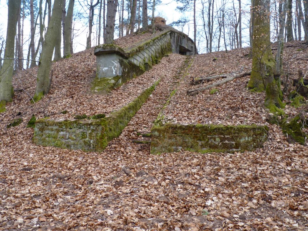 Ligne Maginot - BIESENBERG 6 - (Blockhaus pour arme infanterie) -  - Aditus