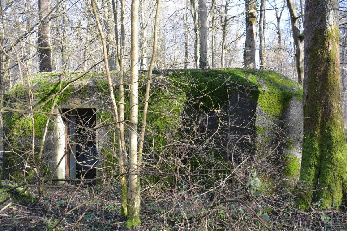 Ligne Maginot - GODELOT - (Blockhaus pour arme infanterie) - La porte se trouve sur le 4e côté du blockhaus, à l'opposé des 3 autres côtés avec créneau.