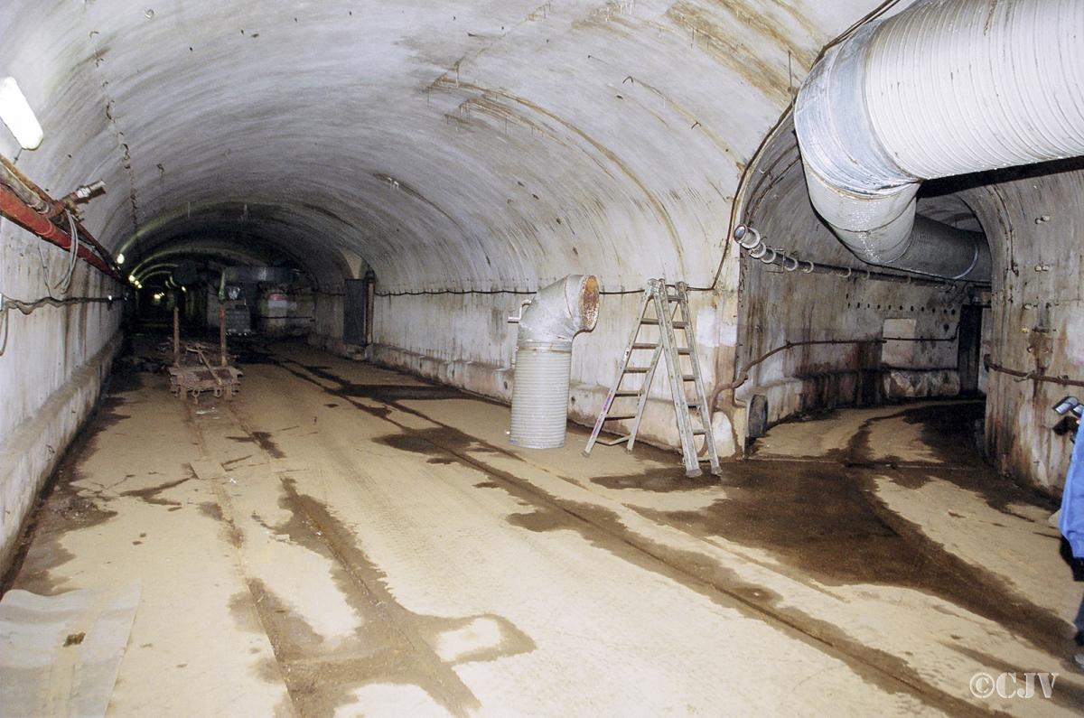 Ligne Maginot - ANZELING - A25 - (Ouvrage d'artillerie) - Gare près de M1