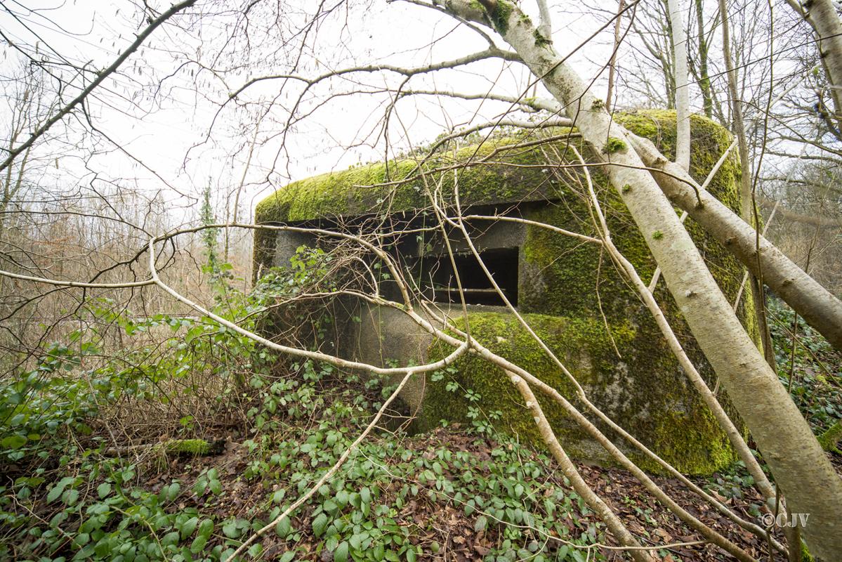 Ligne Maginot - B807 - HAIE D'ANOR - (Blockhaus pour canon) - 