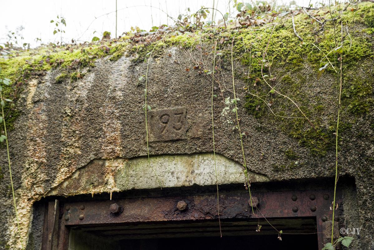 Ligne Maginot - B807 - HAIE D'ANOR - (Blockhaus pour canon) - 