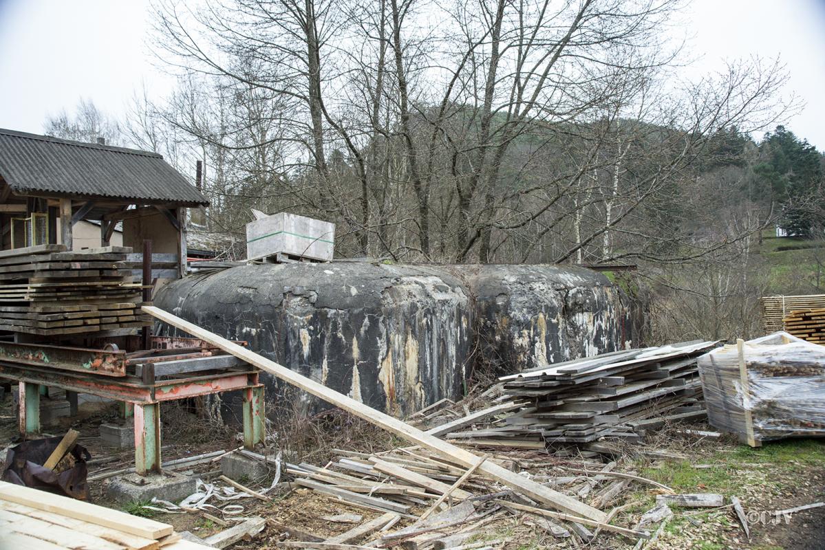 Ligne Maginot - DAMBACH SCIERIE - (Blockhaus pour arme infanterie) -  - Lia VERMEULEN