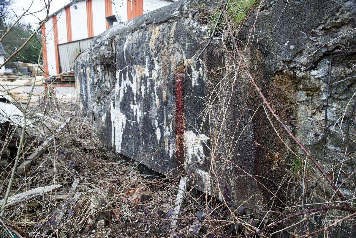 Ligne Maginot - DAMBACH SCIERIE - (Blockhaus pour arme infanterie) -  - Lia VERMEULEN