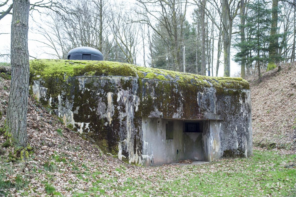 Ligne Maginot - DAMBACH SUD - C56 - (Casemate d'infanterie - Double) -  - Lia VERMEULEN