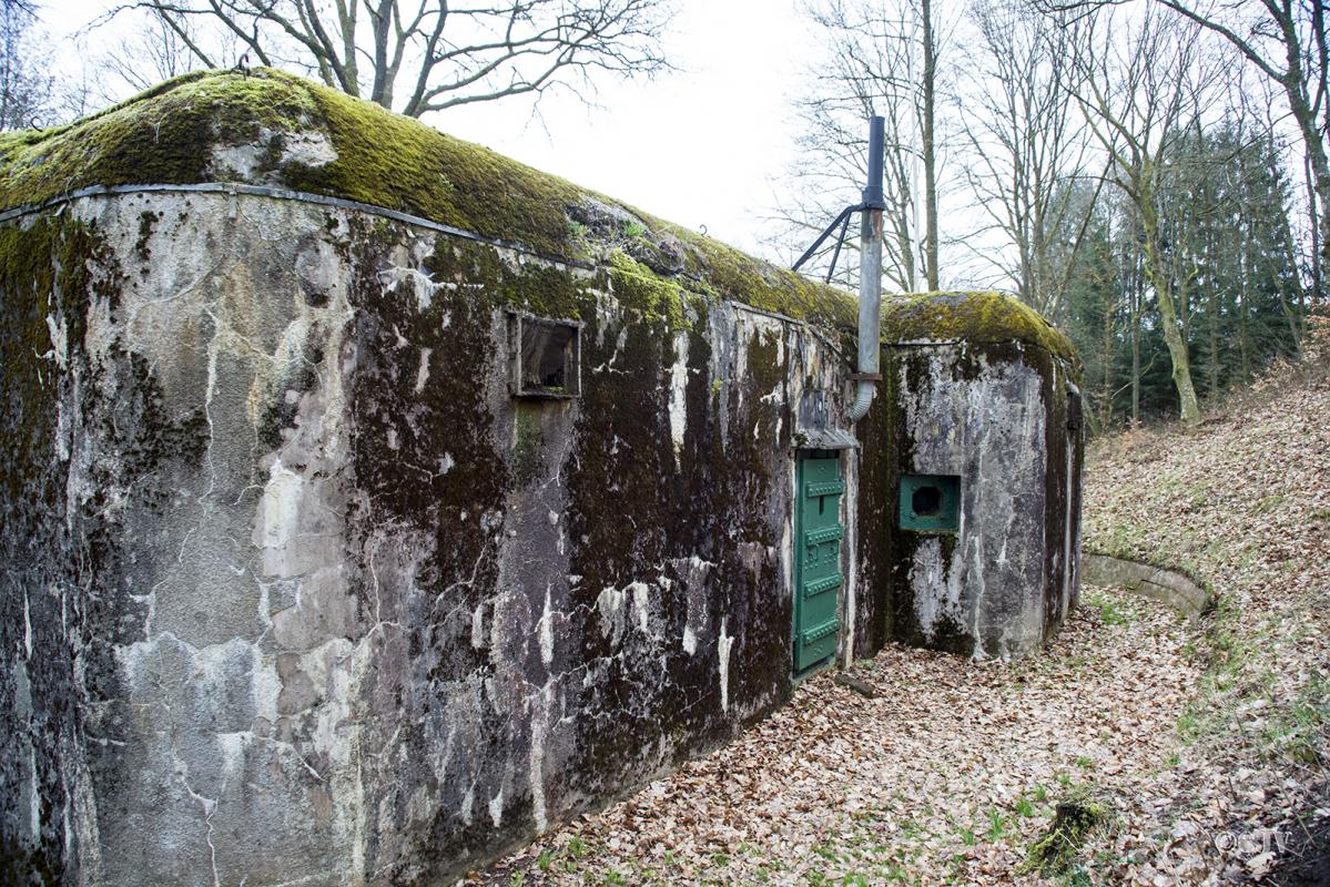 Ligne Maginot - DAMBACH SUD - C56 - (Casemate d'infanterie - Double) -  - Lia VERMEULEN