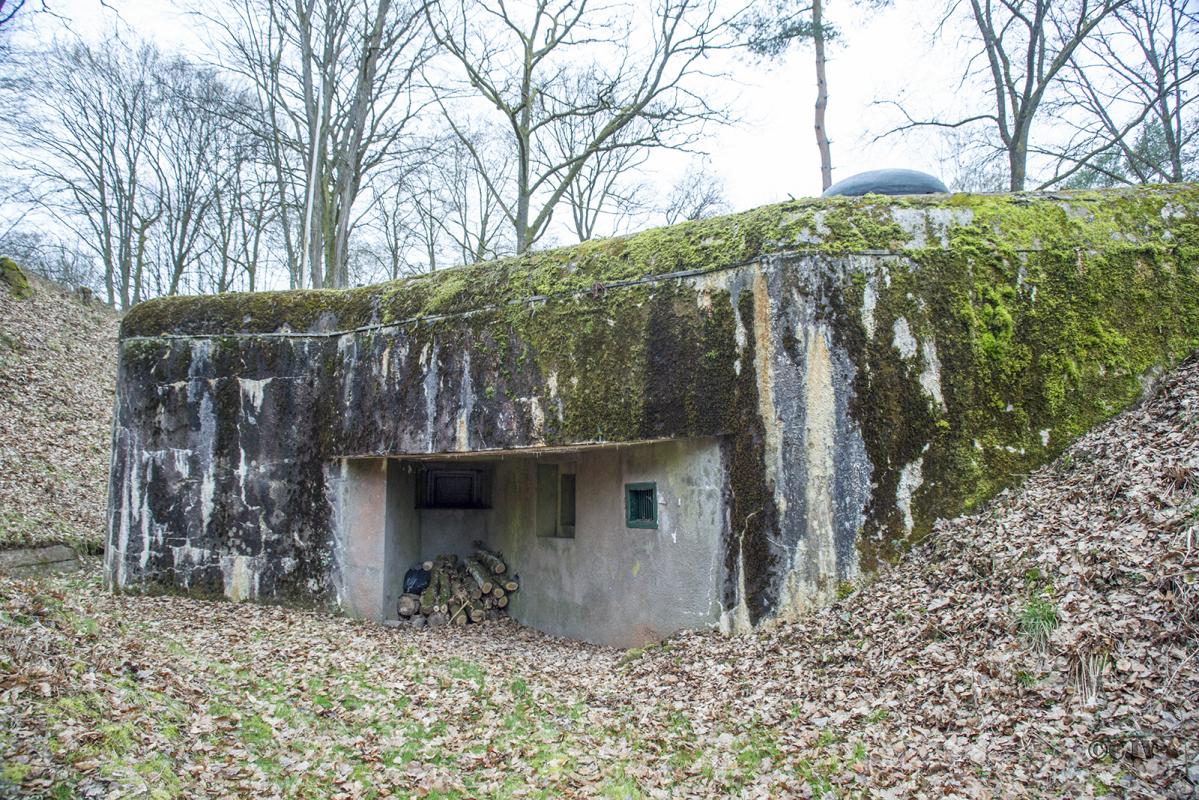 Ligne Maginot - DAMBACH SUD - C56 - (Casemate d'infanterie - Double) -  - Lia VERMEULEN