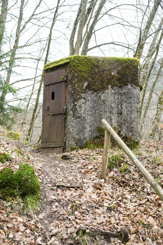 Ligne Maginot - FM82 - FINSTERTHAL 1 - (Blockhaus pour arme infanterie) - 