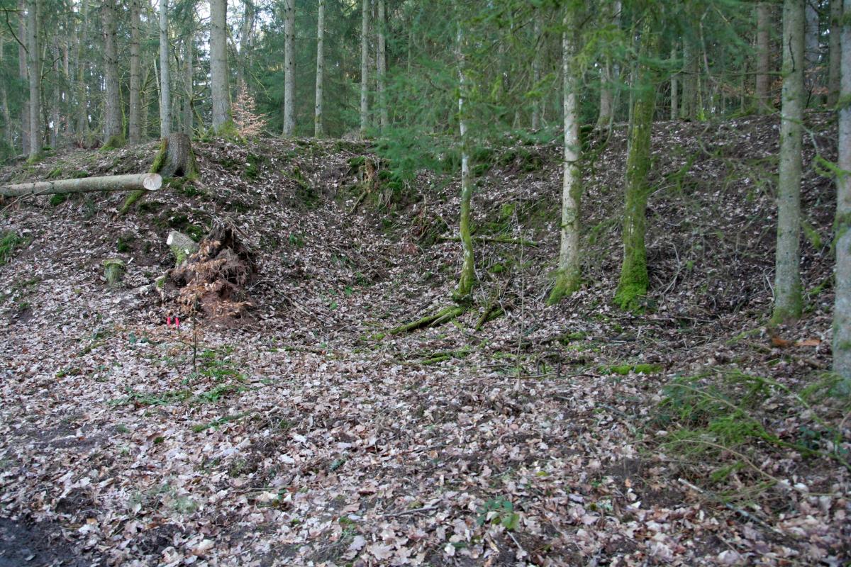 Ligne Maginot - NEUNHOFFEN NORD OUEST 5 - (Blockhaus pour canon) - Fouilles