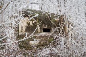 Ligne Maginot - DB305 - GRAND BOIS - (Blockhaus pour canon) - 