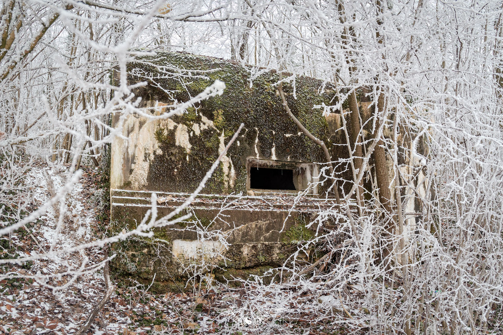 Ligne Maginot - DB305 - GRAND BOIS - (Blockhaus pour canon) -  - Thierry Caland