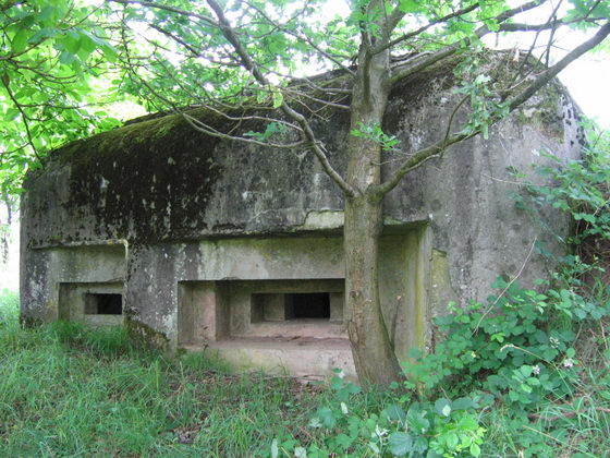 Ligne Maginot - M16 - NEHWILLER - (Blockhaus pour arme infanterie) -  - AALMA - www.lignemaginot.com