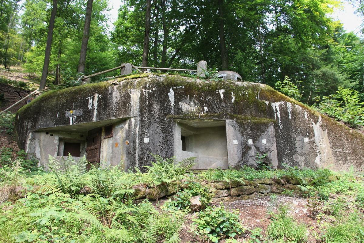 Ligne Maginot - GUNSTHAL FERME OUEST - (Blockhaus pour arme infanterie) - Façade du blockhaus