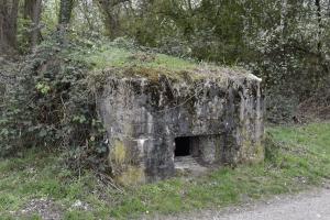 Ligne Maginot - VILLAGE-NEUF BERGE 5 - (Blockhaus pour arme infanterie) - 
