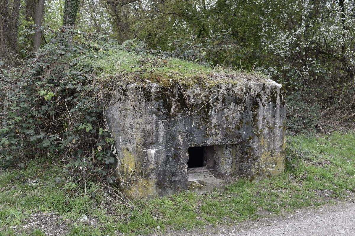 Ligne Maginot - VILLAGE-NEUF BERGE 5 - (Blockhaus pour arme infanterie) - 