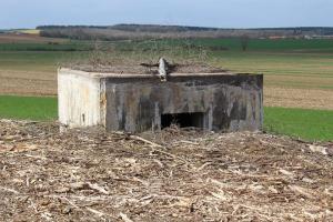 Ligne Maginot - DB340 - GRAVISSIERE - (Blockhaus pour canon) - L'entrée pour la piéce