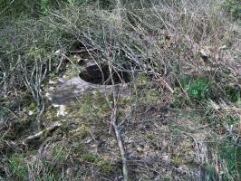 Ligne Maginot - OLFERDINGER 7 - (Blockhaus pour arme infanterie) - Reste de l'observatoire