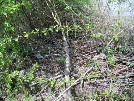 Ligne Maginot - OLFERDINGER 7 - (Blockhaus pour arme infanterie) - Reste de l'observatoire