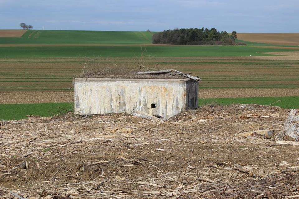 Ligne Maginot - DB340 - GRAVISSIERE - (Blockhaus pour canon) - Vue du coté, on distingue le haut de l'entrée pour le personnel surmonté d'une ouverture de ventilation. L'entrée pour le canon de 25 est sur la face à gauche. - COLLET Thierry