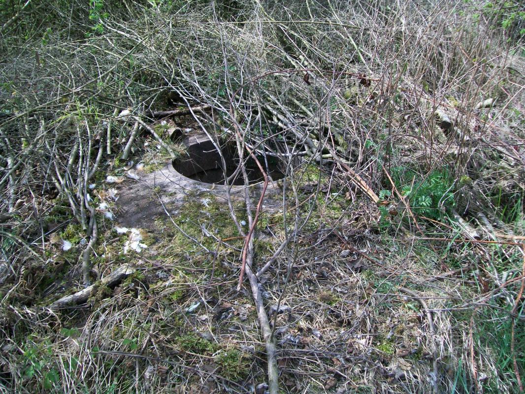 Ligne Maginot - OLFERDINGER 7 - (Blockhaus pour arme infanterie) - Reste de l'observatoire - FREDDY57