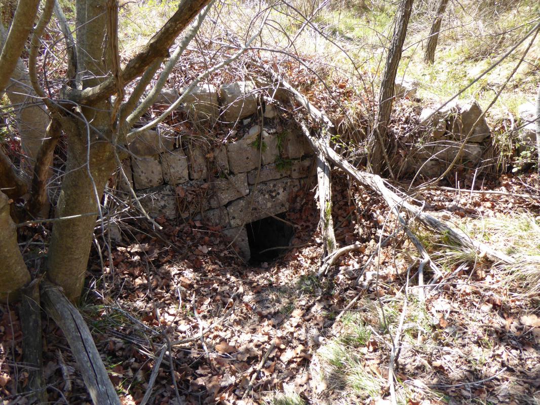 Ligne Maginot - Citerne et abreuvoirs de BORRIGO - 