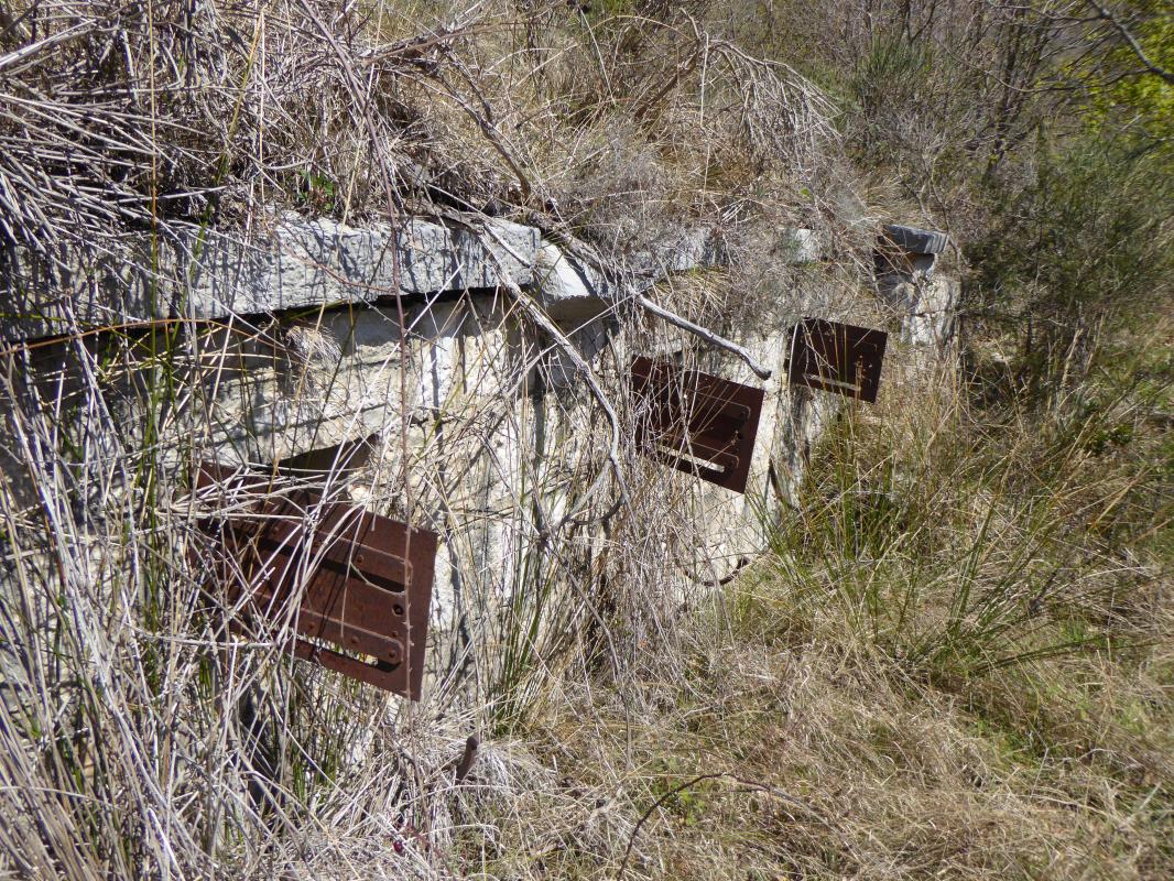 Ligne Maginot - Citerne et abreuvoirs de BORRIGO - Abreuvoir militaire