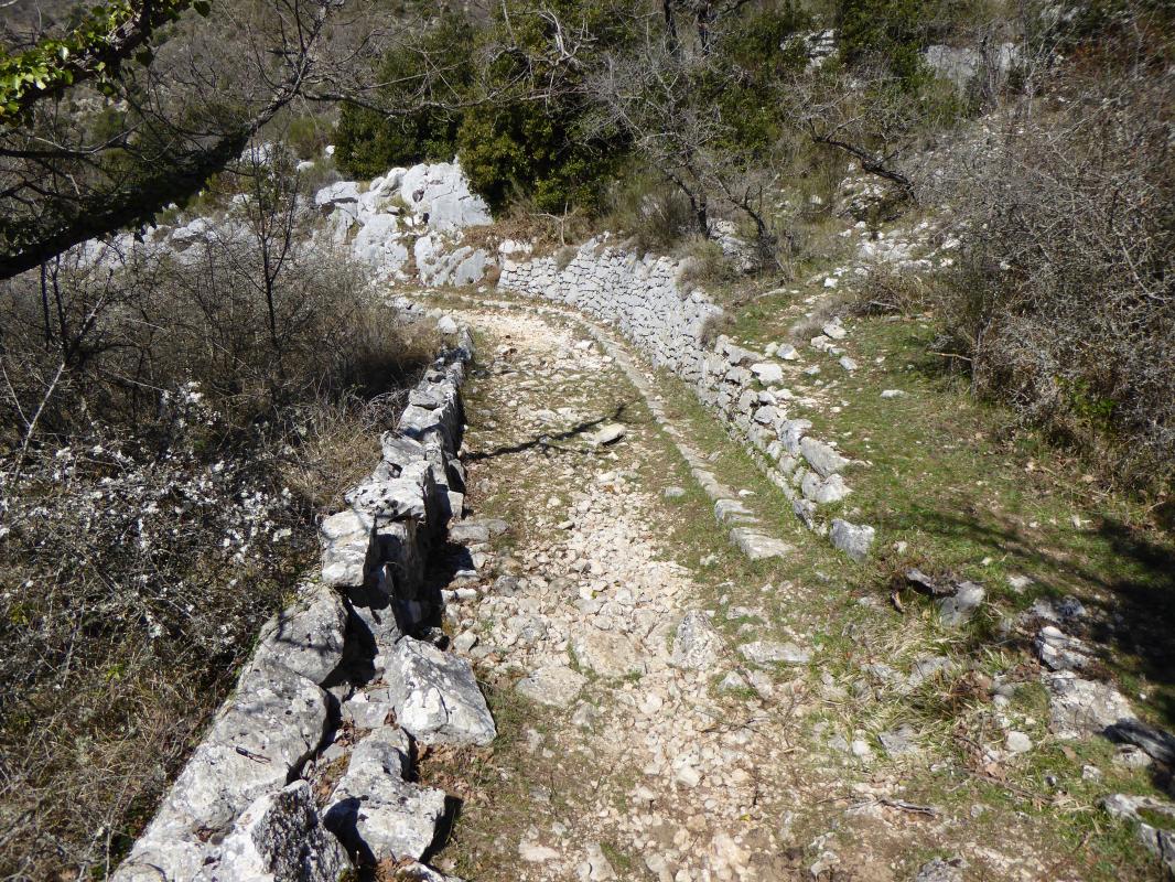 Ligne Maginot - Citerne et abreuvoirs de BORRIGO - Route militaire
