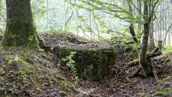Ligne Maginot - MT6 - (Cuve pour arme d'infanterie) - 