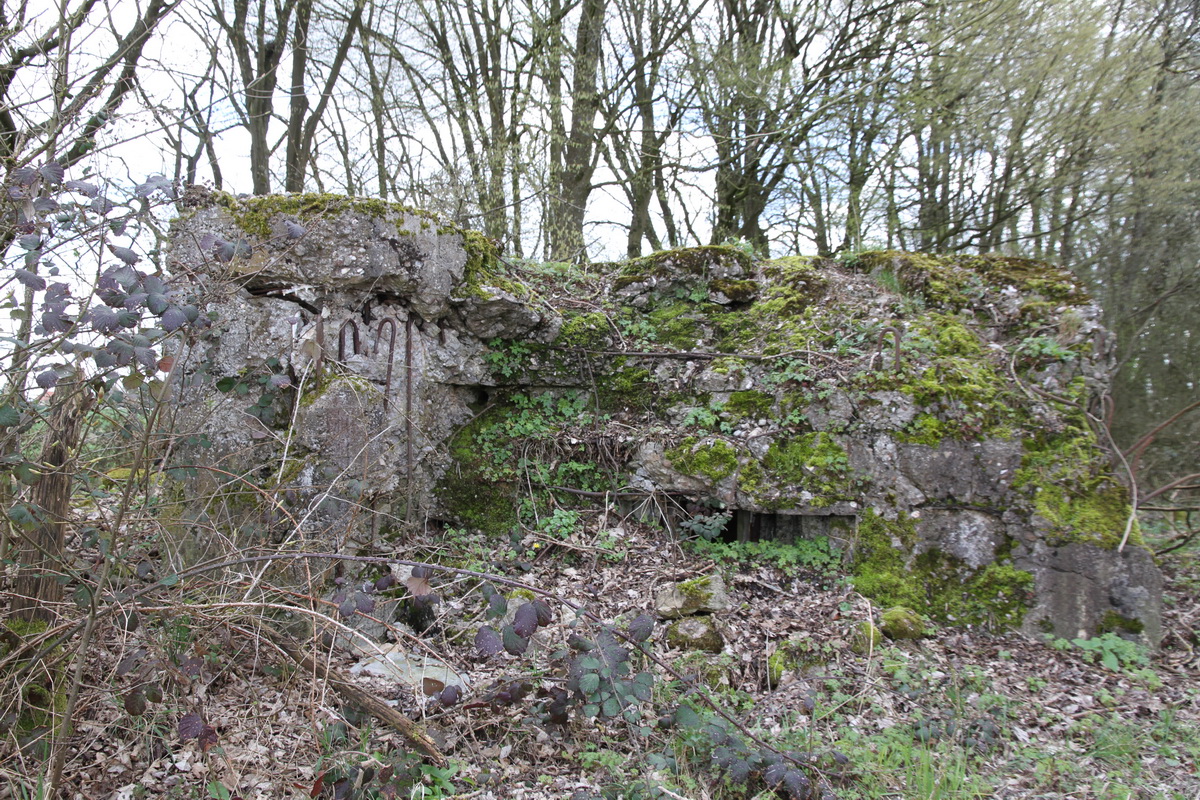 Ligne Maginot - M11 - BARST NORD-EST - (Blockhaus pour arme infanterie) - 