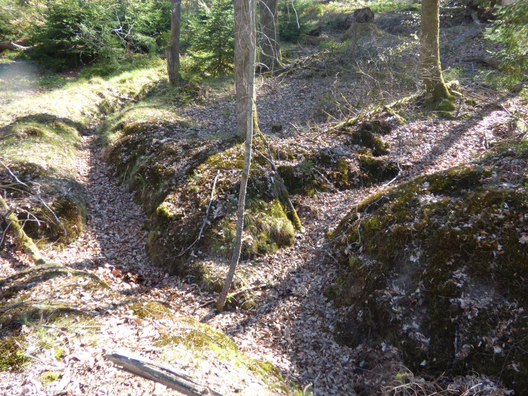 Ligne Maginot - SCHOENTHAL - (Position d'artillerie préparée) - Rejoignement des tranchées