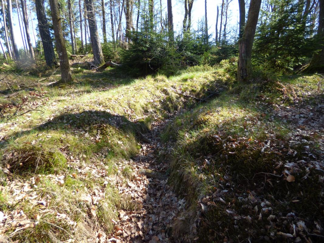 Ligne Maginot - SCHOENTHAL - (Position d'artillerie préparée) - 