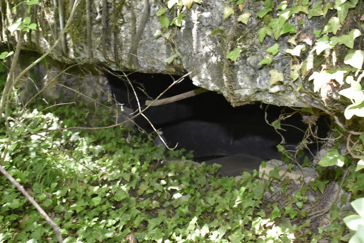 Ligne Maginot - KOETZINGUE 1 - (Blockhaus pour canon) - Créneau de tir  - D. Froehly