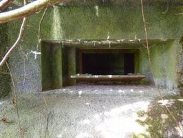 Ligne Maginot - B807 - HAIE D'ANOR - (Blockhaus pour canon) - Embrasure et son volet toujours présent