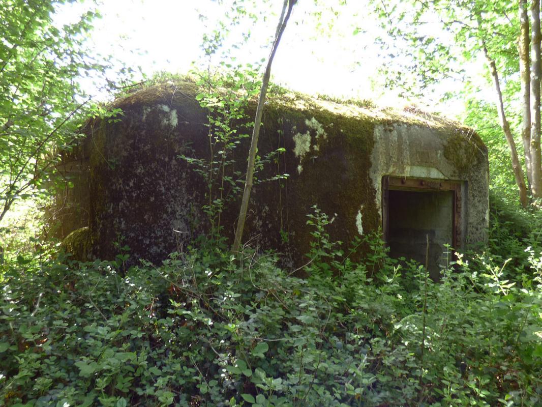 Ligne Maginot - B807 - HAIE D'ANOR - (Blockhaus pour canon) - Entrée mixte