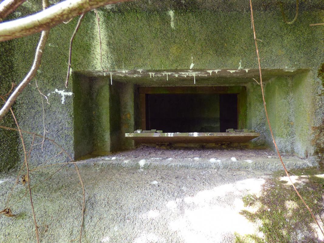 Ligne Maginot - B807 - HAIE D'ANOR - (Blockhaus pour canon) - Embrasure et son volet toujours présent