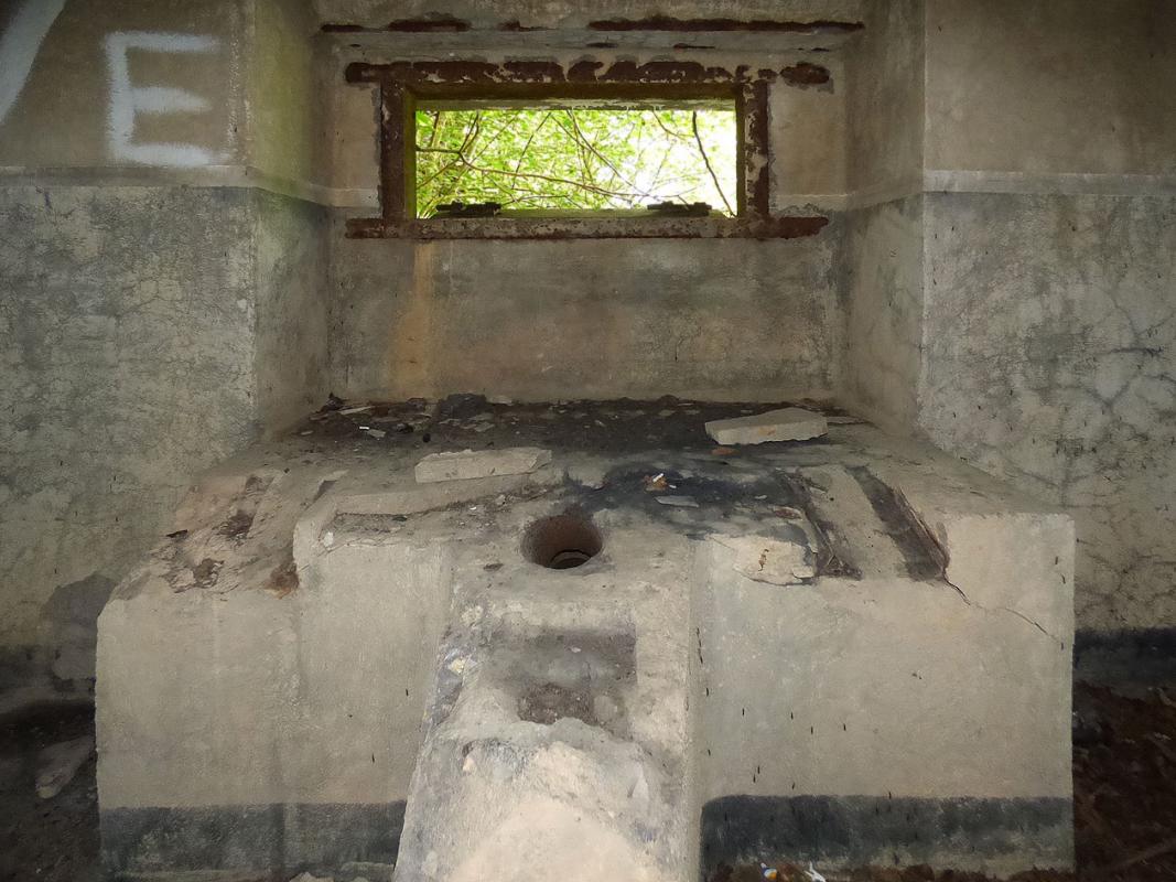 Ligne Maginot - B807 - HAIE D'ANOR - (Blockhaus pour canon) - Chambre de tir 