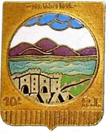 Insigne du 10° RIF