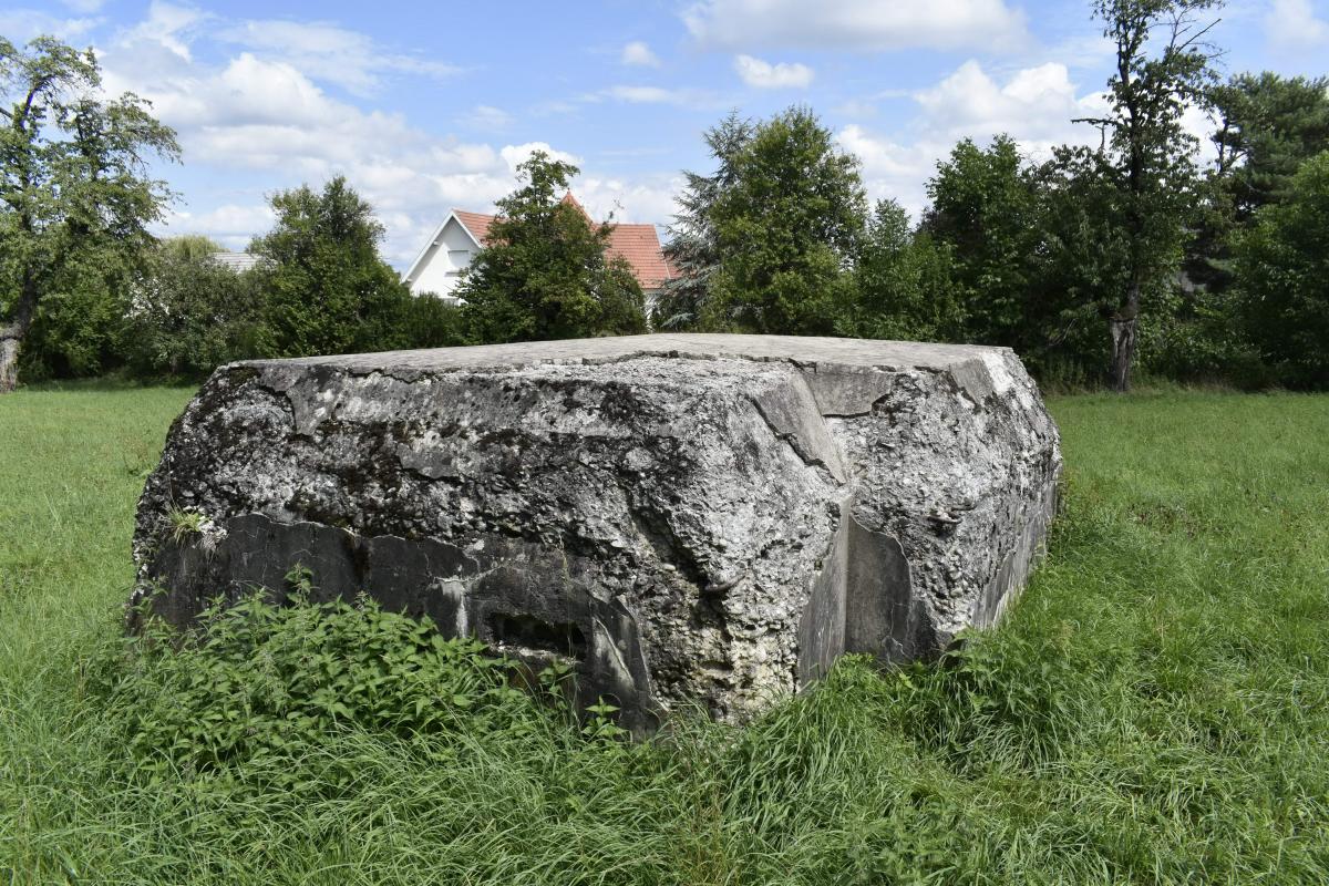 Ligne Maginot - BATTENHAEUSLEIN 1 - (Blockhaus pour arme infanterie) - Vue du coté ouest avec l'entrée murée - D.Froehly
