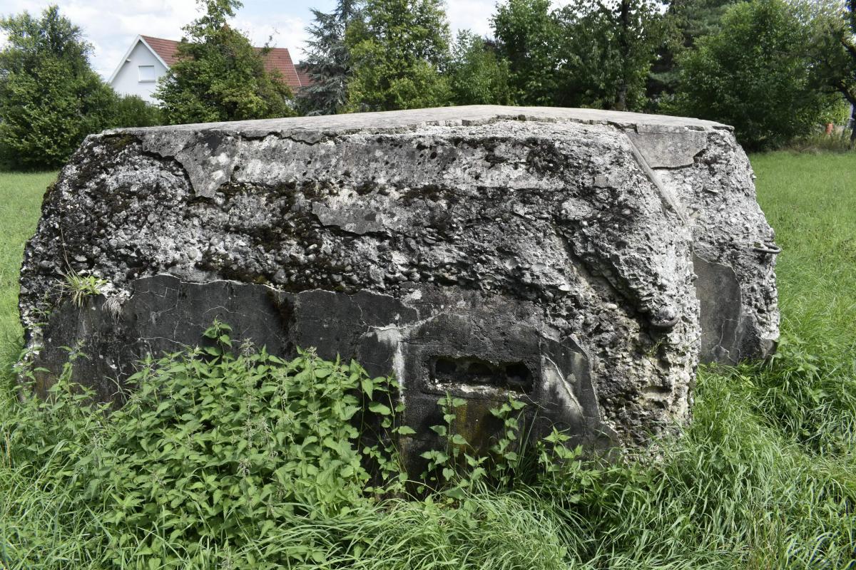 Ligne Maginot - BATTENHAEUSLEIN 1 - (Blockhaus pour arme infanterie) - Vue du coté ouest avec l'entrée murée - D.Froehly