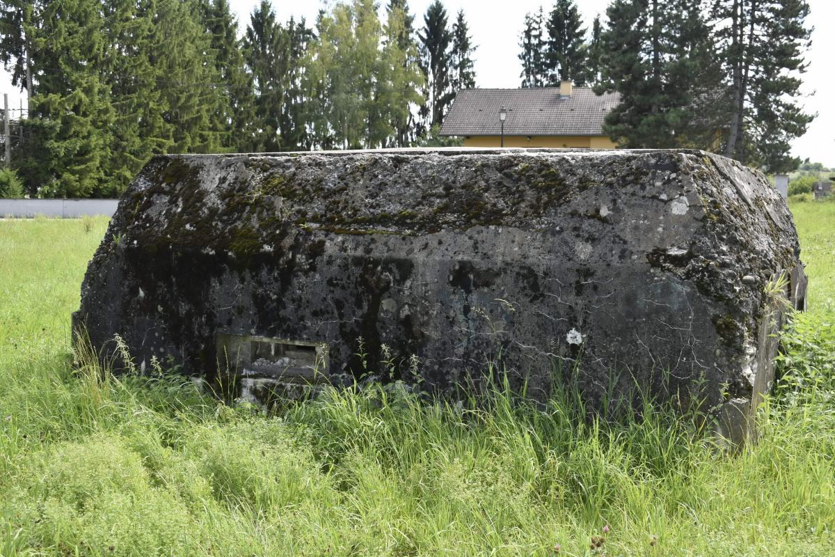 Ligne Maginot - BATTENHAEUSLEIN 1 - (Blockhaus pour arme infanterie) - Vue du coté nord - D.Froehly