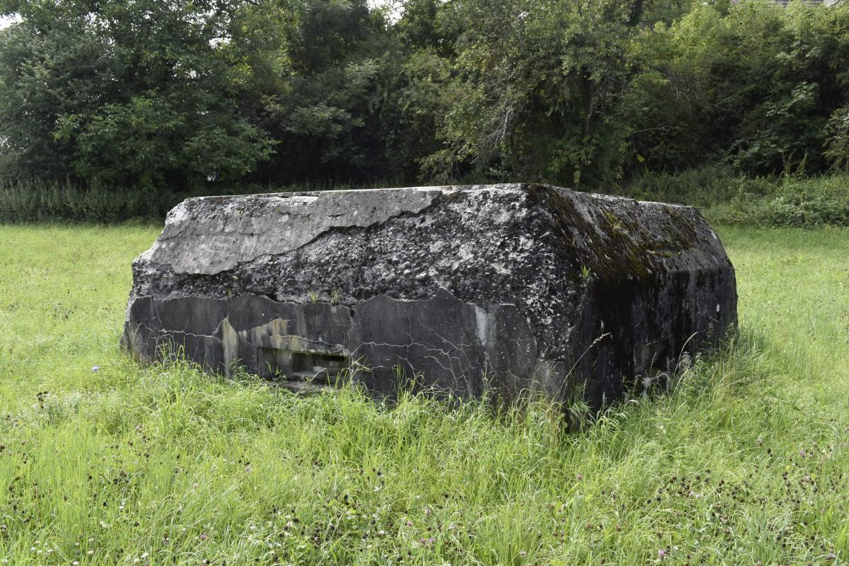 Ligne Maginot - BATTENHAEUSLEIN 1 - (Blockhaus pour arme infanterie) - Vue du coté est - D.Froehly
