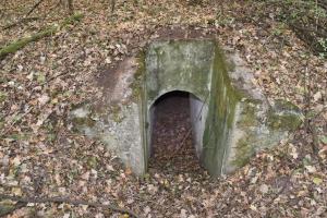 Ligne Maginot - BOIS DE DESSENHEIM CENTRE 1 - (Blockhaus pour arme infanterie) - Entrée. Sur le mur les charnières pour la fermeture par un couvercle