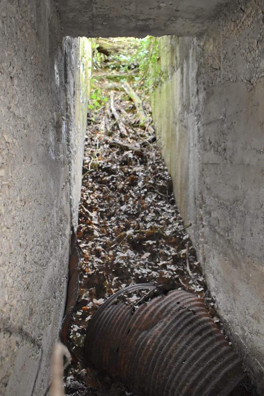 Ligne Maginot - STATION DE BANTZENHEIM 6 - (Abri) - Entrée Est.
L'escalier