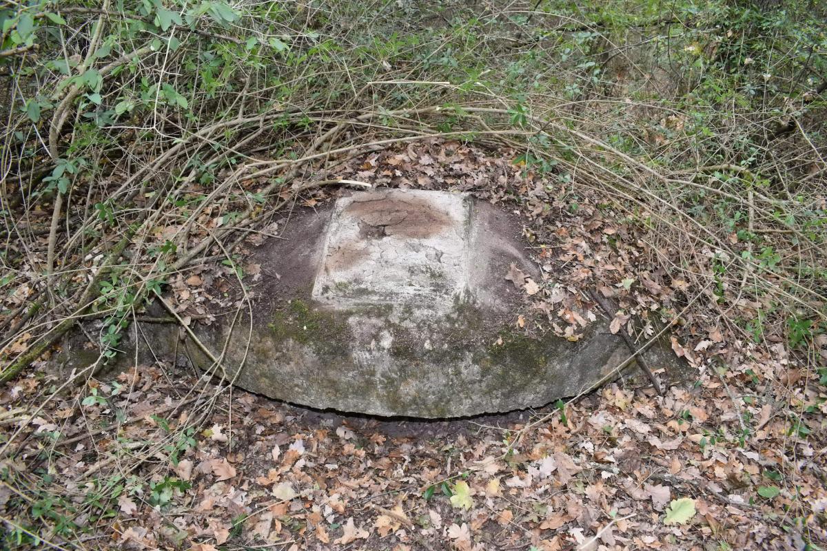 Ligne Maginot - BOIS DE DESSENHEIM CENTRE 1 - (Blockhaus pour arme infanterie) - Coupole avec la cartouche du régiment disparu