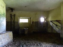 Ligne Maginot - B772 - LA COULONNIERE SUD - (Blockhaus pour canon) - 