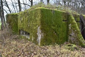 Ligne Maginot - CB228 - BOIS DE CATTENOM 01 - (Blockhaus pour canon) - Créneau de tir