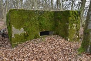 Ligne Maginot - CB228 - BOIS DE CATTENOM 01 - (Blockhaus pour canon) - Créneau de tir