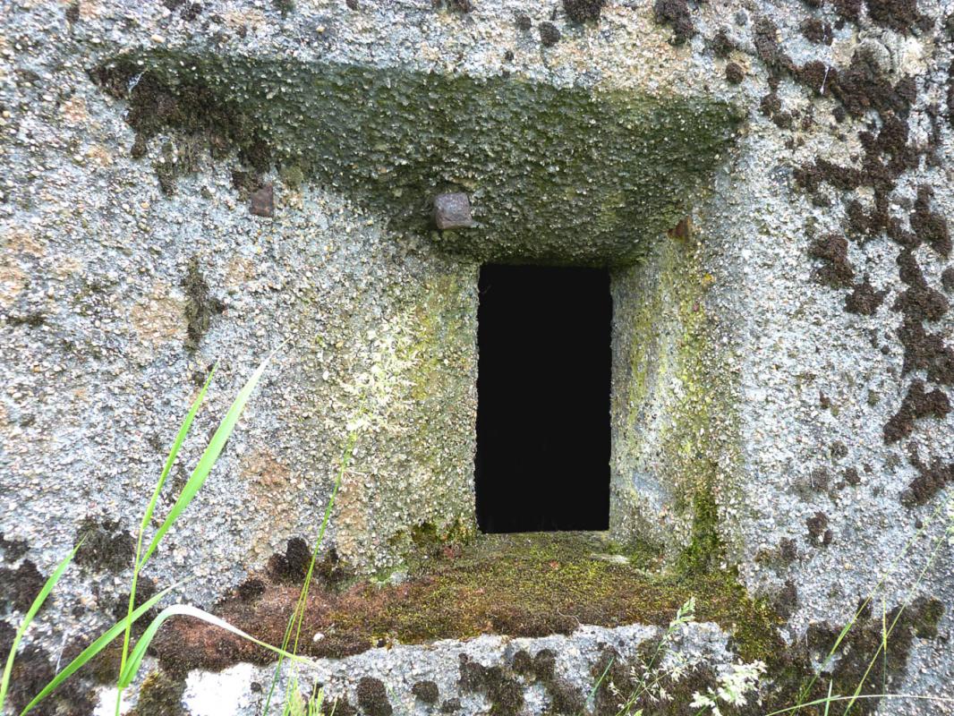 Ligne Maginot - BIRLENBACH SUD 1 - (Blockhaus pour canon) -  - JMBrams