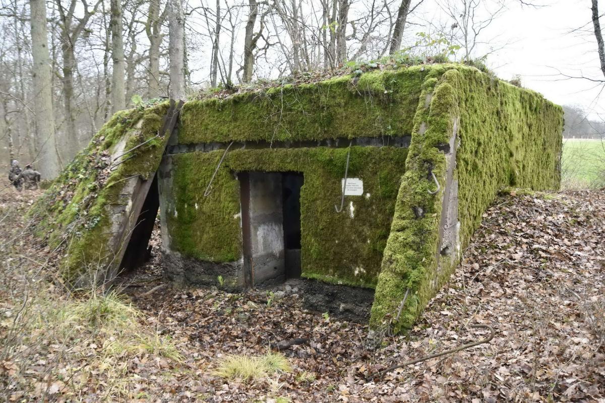 Ligne Maginot - CB228 - BOIS DE CATTENOM 01 - (Blockhaus pour canon) - Entrée du matériel et des munitions. A gauche un appendice en béton couvrant l'angle laissant un passage pour les hommes