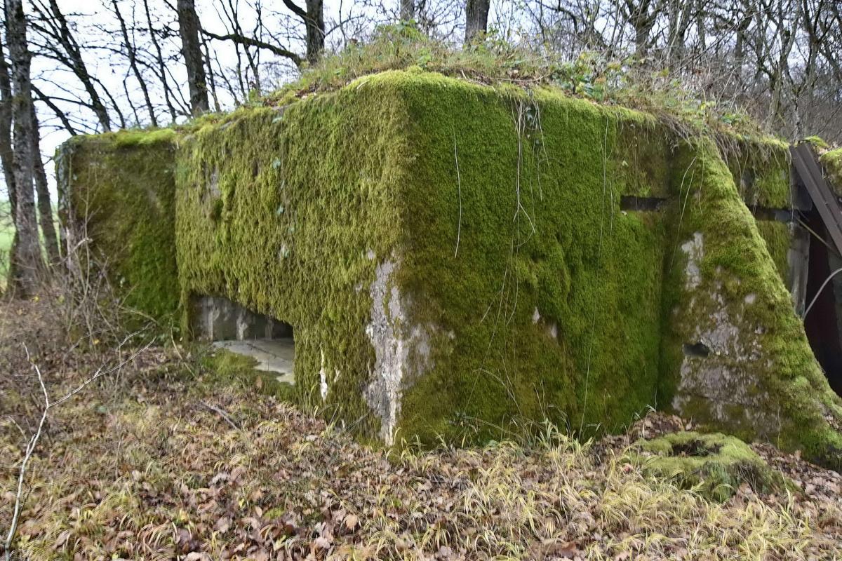 Ligne Maginot - CB228 - BOIS DE CATTENOM 01 - (Blockhaus pour canon) - Créneau de tir
